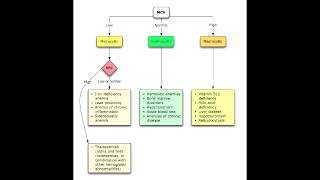 Anemias  Microcytic Normocytic amp Macrocytic Overview [upl. by Ron]