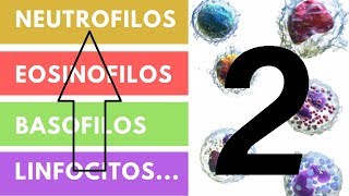 LEUCOCITOS » ¿Qué son Funciones Valores adecuados Parte 2 [upl. by Toulon]