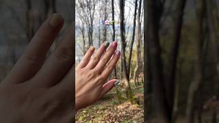 Pastel nails and a beautiful autumn hike o Embracing the season with soft colors and natures wonders [upl. by Trina]