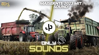 Maisernte 2023 Case 1255XL vor Tridem Krampe SOUND  JP Agrar [upl. by Brom465]