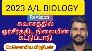 சுவாசத்தில் ஓர்சீர்த்திட நிலையின் கட்டுப்பாடுAL BiologyDrSaumia [upl. by Avuha429]