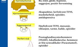 analgetika [upl. by Heilman]