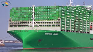 BIGGEST CONTAINER SHIP EVER ACE Maiden call at ROTTERDAM Port  Shipspotting September 2021 [upl. by Glyn]