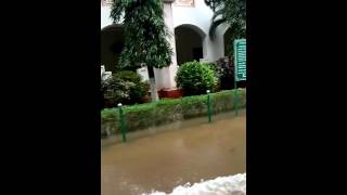 panimalar engineering college in flood [upl. by Anu]