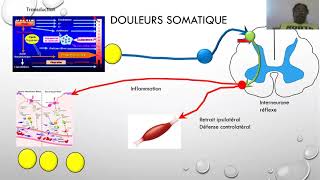 douleur nociceptive [upl. by Anirol322]