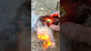 Flint and steel on steel wool bushcraftskills survivalskills survival firemaking [upl. by Nileve]