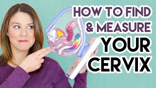 How to Find and Measure Your Cervix [upl. by Tjaden]