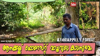 Anakallu Jungle Safari ആനക്കല്ല് ഫോറെസ്റ്റ് വാച്ചറുടെ കാടനുഭവം [upl. by Atnim]