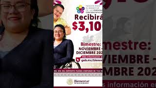 3100 de pensión para el bienestar para personas con discapacidad [upl. by Ciapha]