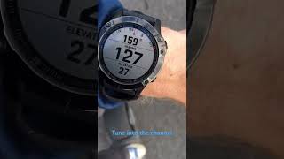 Heading south shorts shorttrending garmin garminwatch onewheel [upl. by Zack]