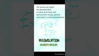 Assimilation in biology Definition of Assimilation what is Assimilation smritimamdumka [upl. by Surovy389]