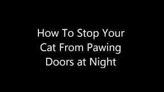 How to stop cats from scratching doors at night [upl. by Ynogoham44]