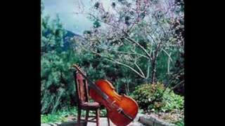 Edward Elgar  Cello Concerto in E minor Op 85 Mov III [upl. by Ronacin747]