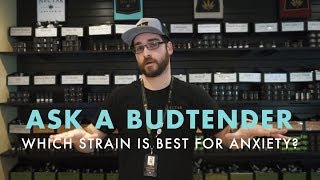 Which Strain Is Best For Anxiety  Ask A Budtender [upl. by Selhorst]