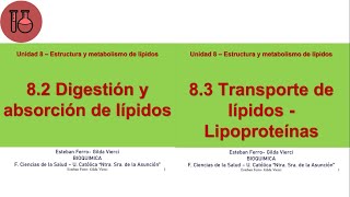 Clase Teórica Bioquímica 8283 Digestión absorción y Transporte de lípidos  Lipoproteínas [upl. by Veron]