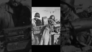 Battle of Elsenborn Ridge history ww2 ww2stories worldwar2 usa germany war facts [upl. by Irme]