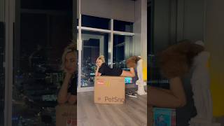 Should I name her mynx 🐾💋 unboxing kitten petsnowy selfcleaninglitterbox [upl. by Severin]