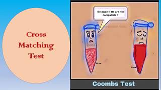 Cross Matching Test  Coombs Test أختبار التطابق [upl. by Nylle409]