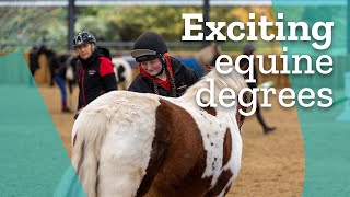 Exciting equine degrees at Hartpury University [upl. by Anitsirk332]