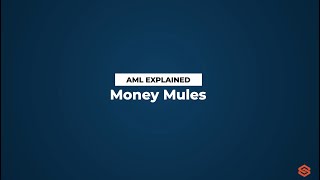 Money Mules l AML Explained 23 [upl. by Akirre]