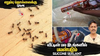 இதுல இவ்ளோ செய்யலாமா Ant Control amp How To Use Silicone Sealant Gun  Manos Try Tamil Vlog [upl. by Hama]