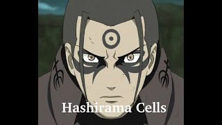 Hashirama Cells  The polt maker narutoshippuden naruto hashirama [upl. by Mirabella87]