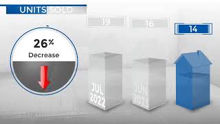 Lone TreeCO Real Estate Market Update from REMAX AllianceAugust 2023 [upl. by Daas841]