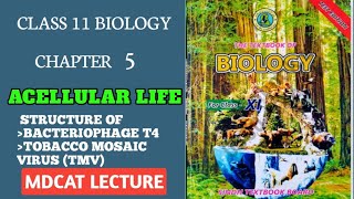 STRUCTURE OF BACTERIOPHAGE T4  TMV  ACELLULAR LIFE MDCAT LECTURE  CLASS 11 NEW BIOLOGY BOOK [upl. by Aieka]