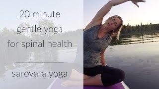 20 Minute Gentle Yoga For Spinal Health [upl. by Post91]