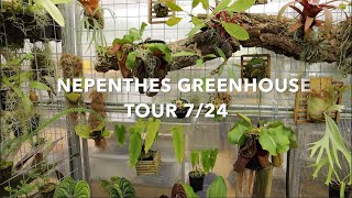 Nepenthes Greenhouse Tour 2024 [upl. by Ecyla515]