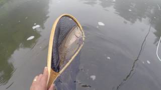 Streamer Fishing Upper Delaware Tiger Trout  Trout Spey [upl. by Llirrehs]