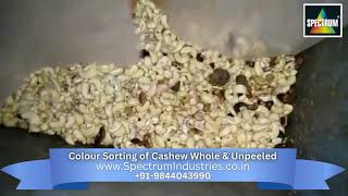 Efficient Colour Sorting of Whole amp Unpeeled Cashew [upl. by Slade660]