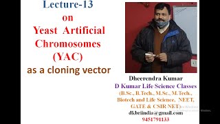 Yeast Artificial Chromosomes YAC cloning vector in genetic engineering by Dheerendra kumar [upl. by Uzial]