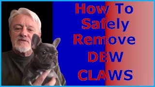 DIY Removing Dew Claw From You DogPuppy [upl. by Nitsirt]