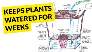 5 DIY Homemade Self Watering amp Auto Watering System for Your House PlantsGREEN PLANTS [upl. by Ahsilef]