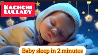 Kachchi  Gujrat Baby song Baby sleep in 2 minutes [upl. by Apollus]