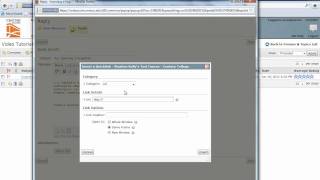 Inserting a Hyperlink into D2L [upl. by Esiuqcaj]