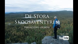 De stora skogsäventyren  Del 4 Trailer [upl. by Dwyer]