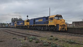 7734V PN loaded grain XR559 X50 8184 Dimboola to Geelong 1000 21924 Stawell VIC [upl. by Doscher810]