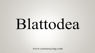 How To Say Blattodea [upl. by Rolyak]