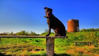 Der Bergfried von Stolpe [upl. by Akimahs]