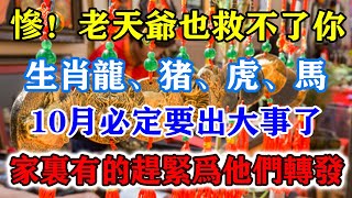 慘！老天爺也救不了你！生肖龍、豬、虎、馬、四大生肖10月必定要出大事了！家裏有的趕緊為它們轉發！積善積福萬事如意！運勢 風水 佛教 生肖 发财 横财 【佛之緣】 [upl. by Ardenia]