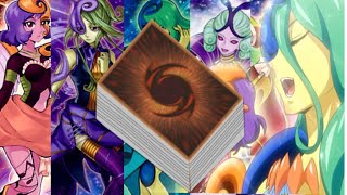 one card combo melodious deck melodiosa deck melodious yugioh [upl. by Annwahsal]