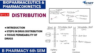 Distribution Tissue Permeability of Drugs  Unit1 Biopharmaceutics and Pharmacokinetics 6th sem [upl. by Launamme]