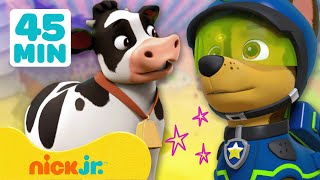 PAW Patrol  PAW Patrol boerderijreddingen  45 minuten  Nick Jr Nederlands [upl. by Collbaith]