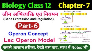 Biology class 12 chapter 7  operon concept  lac operon model in hindi  lac operon biochemistry [upl. by Einnaej583]