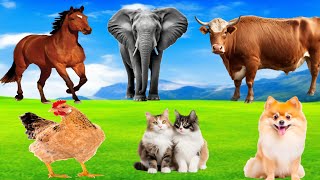 Farm Animals Animal Sounds Chicken Horse Duck Cat Cow Dog Elephant  Animal Videos [upl. by Notnyw]