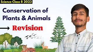 REVISION 🌲  Conservation Of Plants And Animals For Class 8 [upl. by Elleb]