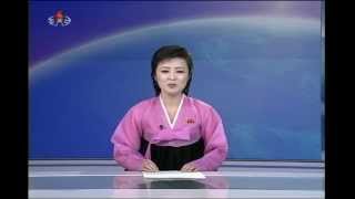 Evening news on North Korean TV April 7 2013 [upl. by Siddra]