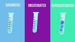 Saturated  Unsaturated and Supersaturated Solutions What is the difference [upl. by Ydak]